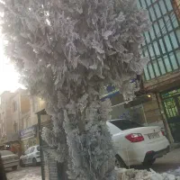 سرویس دهی به تمام مناطق درون شهری و برون شهری