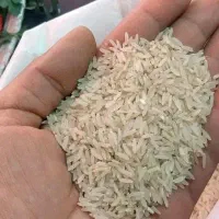 شاه برنج چمپا