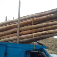 خرید چوب خشک و ضایعات باغی|خدمات باغبانی و درختکاری|مراغه, |دیوار