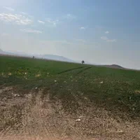 200جریب چاه گلخانه گاوداری باپروانه مرغداری کارخان|فروش دفتر صنعتی، کشاورزی، تجاری|میمه, |دیوار