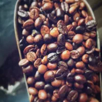 قهوه و آکسسوری