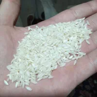 برنج عنبربو ی خوزستان ، ممتاز|خوردنی و آشامیدنی|رشت, لاکان شهر|دیوار