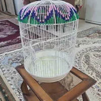قفس
