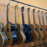 کلیه لوازم موسیقی|سازهای سنتی|تهران, فرحزاد|دیوار