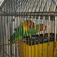 قیمت مناسب.بخاطره نداشتن وقت