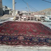 یک تخته فرش دست بافت ۳در ۴|فرش|مراغه, |دیوار