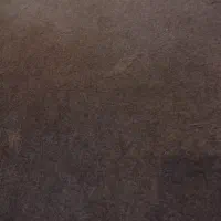 موکت تمیز وسالم