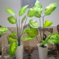 پیراهن مجلسی یه جفت گل مصنوعی و میز تلفن تنه درخت