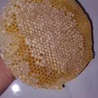 عسل طبیعی کردستان اورامان تخت|خوردنی و آشامیدنی|تهران, قیطریه|دیوار