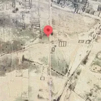 زمین سند تک برگ