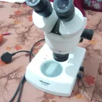 لوپ ومولتی مترو...