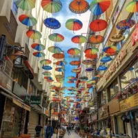 تور وان|تور و چارتر|تهران, پردیسان|دیوار