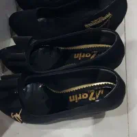 کفش مجلسی زنانه|کیف، کفش، کمربند|شیراز, ریشمک|دیوار