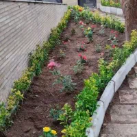 باغبانی در پردیس کرشت رودهن مهراباد|خدمات باغبانی و درختکاری|پردیس, فاز ۸|دیوار