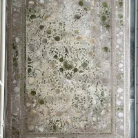 فرش ۱۲۰۰شانه وینتیج تمام نخ|فرش|دزفول, |دیوار