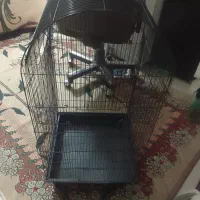 قفس پرنده