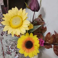 گل مصنوعی|گل مصنوعی|قزوین, |دیوار
