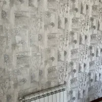 نصب و فروش تخصصی کاغذ دیواری ،کفپوش ،رنگ،تی وی وال|خدمات پیشه و مهارت|پاکدشت, پاکدشت (مامازند)|دیوار