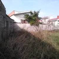 زمین مسکونی شهری با پروانه ساخت دوبلکس|فروش زمین و ملک کلنگی|لشت نشا, |دیوار