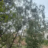 امتیاز-پیش-فروش-آپارتمان-سه-خوابه-نفت-یک