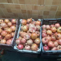انار میبد|خوردنی و آشامیدنی|یزد, |دیوار