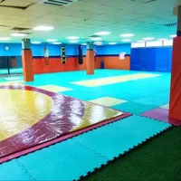 اجاره سانس ورزش های رزمی و کشتی