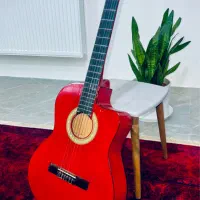 گیتار خوشرنگ اورجینال|گیتار، بیس، امپلیفایر|بجنورد, |دیوار