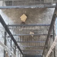 کاراسانسور  نصب اهنکشی و ریل سقف دال