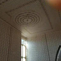 رنگ نما زیبایی|خدمات پیشه و مهارت|پاتاوه, |دیوار