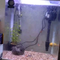 اکواریوم تمام اوتومات بهترین برند