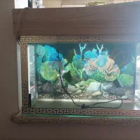 سلام آکواریوم سالم فروش فوری