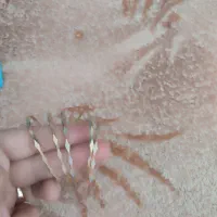 ۵عدد النگو به قیمت تابلو با سه درصد فقط تا امروز