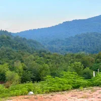 زمین ۲۳۵۰متری /ویودار/شفت