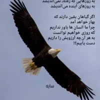 ۹۱۹