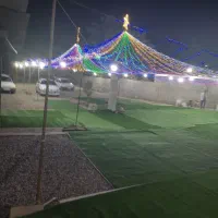 نورپردازی و تشریفات عروسی