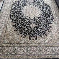 قالی