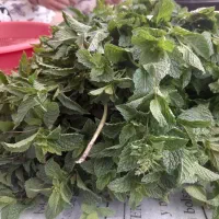سفارش تهیه انواع سبزی خورشتی، خوراکی، سبزی خشک،|خدمات پذیرایی، مراسم|کرمانشاه, |دیوار