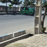 پخش کشمش آفتابی آدران