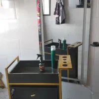 وسایل آرایشگاه|آرایشگاه و سالن‌های زیبایی|دهگلان, |دیوار