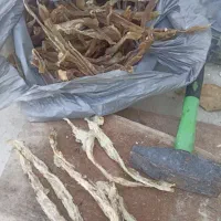 کولی خشک موجود بدون پوست