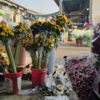 حسابدار نیمه حرفه ایی ترجیحا خانوم