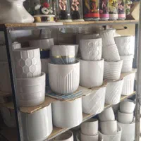 استند گل گلفروشی رز جاویدان|گل و گیاه طبیعی|بروجن, |دیوار