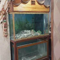 آکواریوم حرفه ای