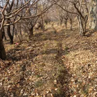 باغ،در جای بسیار خوش آب و هوا