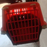 باکس گربه و ظرف