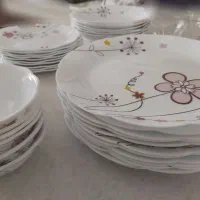 ظروف ارکوپال وچینی وفنجان و...