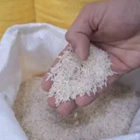 برنج ایرانی درگز