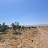 زمین گلخانه ای سند تک برگ|فروش دفتر صنعتی، کشاورزی، تجاری|تهران, چیتگر جنوبی|دیوار