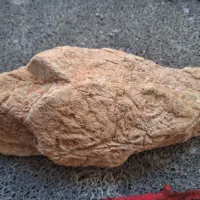 سنگ باستانی