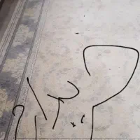 فرش ۶ متری این طرح